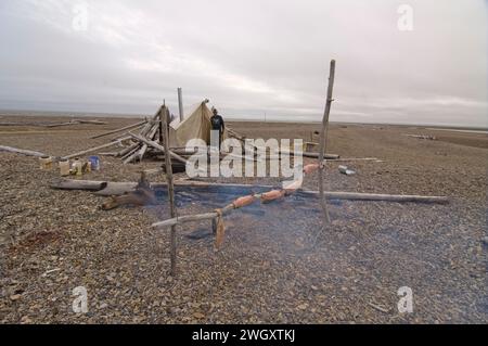 Bruce Inglangasak fish camp smoking broad whitefish  Coregonus nasus at camp anwr 1002 coastal plain anwr arctic alaska Stock Photo