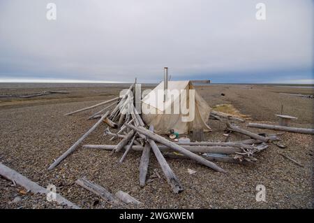 Bruce Inglangasak fish camp smoking broad whitefish  Coregonus nasus at camp anwr 1002 coastal plain anwr arctic alaska Stock Photo