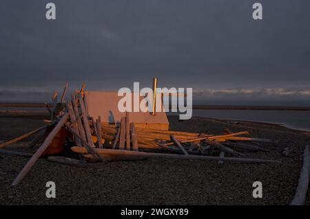 Bruce Inglangasak fish camp smoking broad whitefish  Coregonus nasus at camp anwr 1002 coastal plain anwr arctic alaska Stock Photo