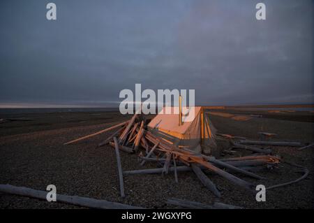 Bruce Inglangasak fish camp smoking broad whitefish  Coregonus nasus at camp anwr 1002 coastal plain anwr arctic alaska Stock Photo