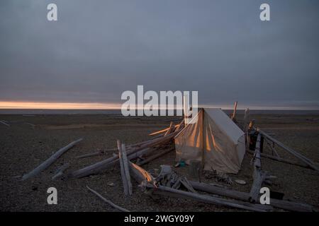 Bruce Inglangasak fish camp smoking broad whitefish  Coregonus nasus at camp anwr 1002 coastal plain anwr arctic alaska Stock Photo