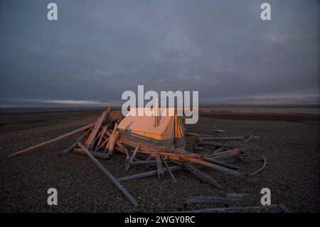 Bruce Inglangasak fish camp smoking broad whitefish  Coregonus nasus at camp anwr 1002 coastal plain anwr arctic alaska Stock Photo