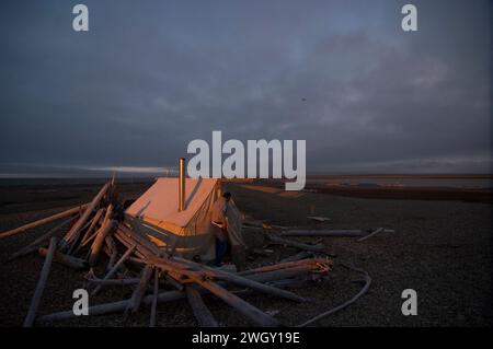 Bruce Inglangasak fish camp smoking broad whitefish  Coregonus nasus at camp anwr 1002 coastal plain anwr arctic alaska Stock Photo