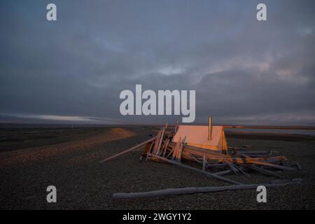 Bruce Inglangasak fish camp smoking broad whitefish  Coregonus nasus at camp anwr 1002 coastal plain anwr arctic alaska Stock Photo