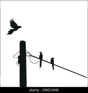 birds silhouette on electrical wires Stock Vector Image & Art - Alamy