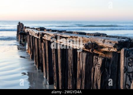 The iconic erosion groynes at sunrise in Victor Harbor South Australia ...