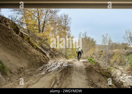 A cyclist on a route along a sandy and muddy track with puddles of water in a low forest area Stock Photo