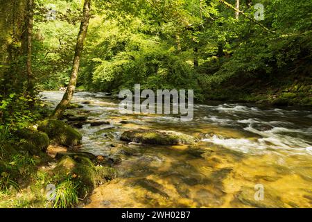 An image showing the River Barle in Somerset taken with a slow shutter speed to emphasize the motion of flowing water, shot in Somerset, England, UK. Stock Photo