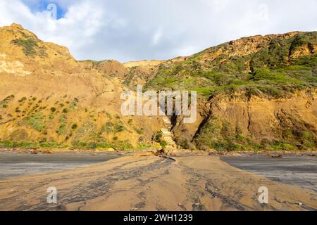 Sandstone Cliff Mudslide Torrey Pines State Reserve Beach. Historic Atmospheric River Rain Storm Floods 2024 San Diego Southern California Coast USA Stock Photo