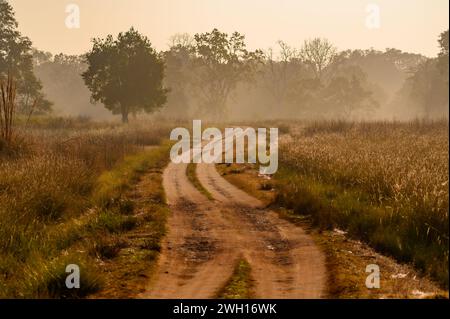 A rustic dirt path cutting through a vast field Stock Photo