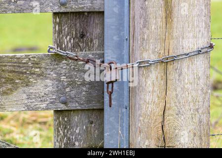 Close up of a wooden farm gate locked with a iron chain and padlock. Stock Photo