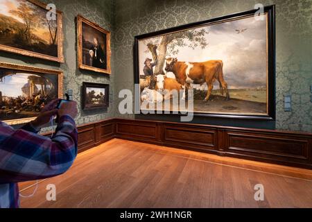 Someone takes a photo of the oil on canvas painting 'The Bull' by Paulus Potter in the Mauritshuis museum in The Hague Stock Photo