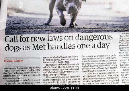 'Call for new laws on dangerous dogs as Met handles one a day' Guardian newspaper headline American bullies bully dog article 5 February 2024 London Stock Photo