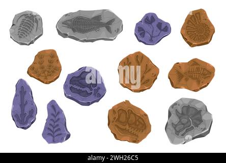Ancient dinosaur fossil, fish skeleton and plant imprint in stone. Vector prehistoric evolution items, archaeological dig set. Dino footprints, sea animals, and mollusk shells in ancient stone pieces Stock Vector