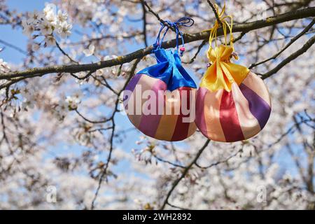 Korean New Year or Seollal. Sebaetdon lucky bag on Cherry blossom tree. Stock Photo