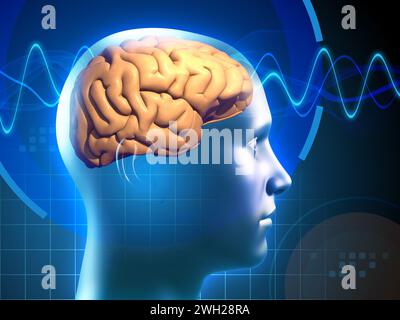 An image of a human brain, crossed by electrical signals, representing thought processes in action. Digital illustration, 3D render. Stock Photo