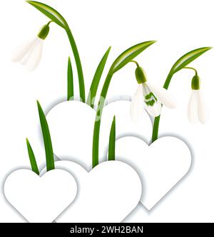 Snowdrop flowers in with paper hearts realistic vector Stock Vector