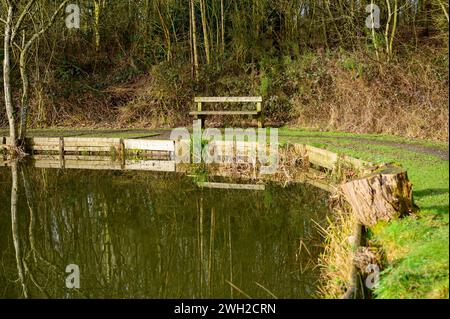 Empty wooden bench next to a fishing pool in winter. Stock Photo