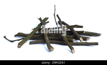Dry wooden twig isolated on white background Stock Photo