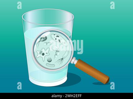 A glass of water and magnifying glass. Close-up of water microbe. Microbial contamination. Waterborne pathogens. Drinking water quality and safety bef Stock Vector