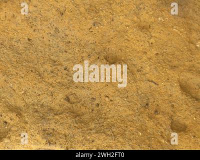 The texture of the mountain rock has a smooth, firm surface Stock Photo