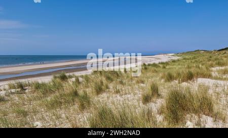 Sandy dunes with Marram grass (Ammophila arenaria) and beach; Burgh-Haamstede, Zeeland, Netherlands Stock Photo