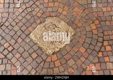 Texture of walkway pavement with rough square brown reddish stones around a concrete square in the middle. Stock Photo