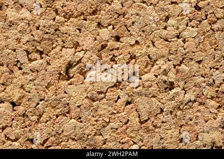 Close up of texture of brown cork coaster as a background. Stock Photo