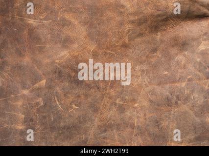 The texture of the old leather. Closeup structure of a leather piece Stock Photo