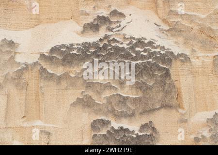 The texture of a sandy piece of land. Background from the structure of sand. Layer of earth. Stock Photo