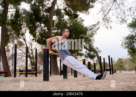 Strong man working out arms muscles doing triceps dips using bars. Photo of man with perfect body on park background. Strength and motivation Stock Photo