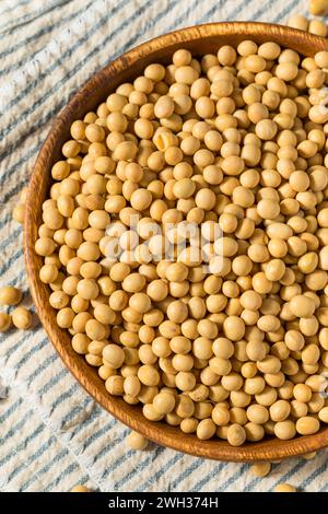 Dried Organic Soy Beans in a Wodden Bowl Stock Photo