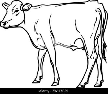 A line drawing black and white ink sketch of a cow Stock Vector