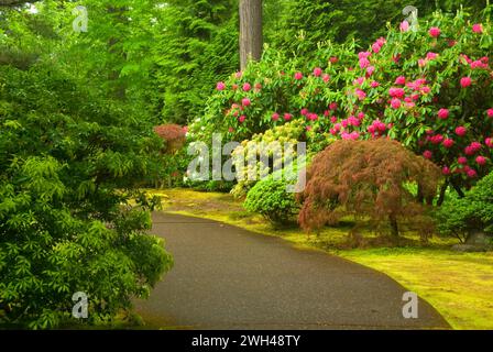 Garden path, Portland Japanese Garden, Washington Park, Portland, Oregon Stock Photo