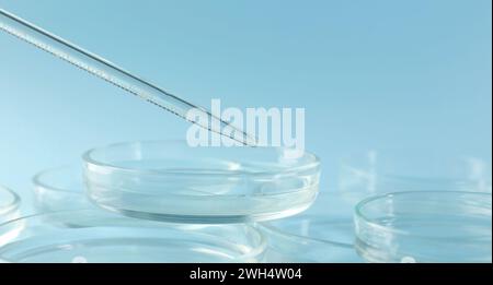 Pipette over petri dish on light blue background, closeup Stock Photo