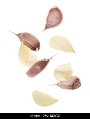 Fresh garlic cloves falling on white background Stock Photo