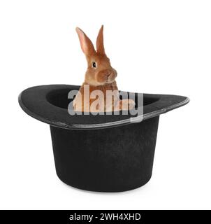 Cute rabbit in top hat on white background. Magician trick Stock Photo