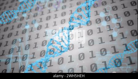 Image of medical data processing over white background Stock Photo