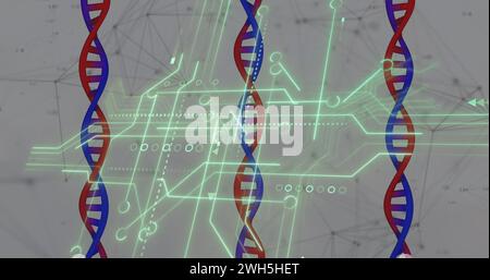 Image of medical data processing and processor socket over white background Stock Photo