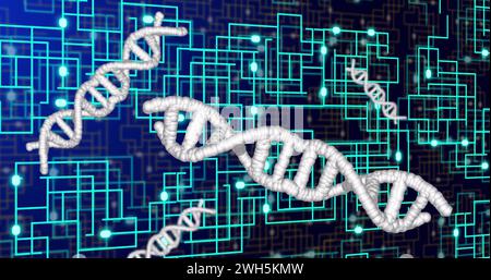 Image of dna strands over network of connections Stock Photo