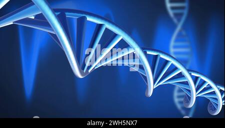 Image of dna strands spinning with glowing light trails over dark background Stock Photo
