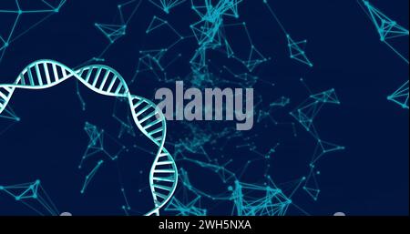 Image of dna strands spinning with glowing light trails over dark background Stock Photo