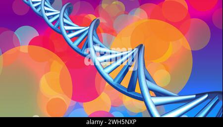 Image of dna strand spinning over glowing spots lights on blue background Stock Photo