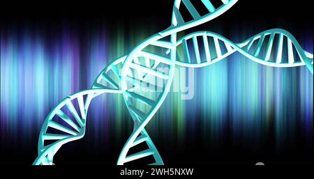 Image of dna strands spinning with glowing light trails over dark background Stock Photo