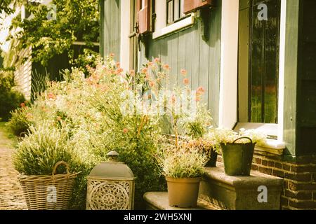 The plants on the steps of a house in Zaanse Schans, a historical Dutch village in the north of Holland Stock Photo