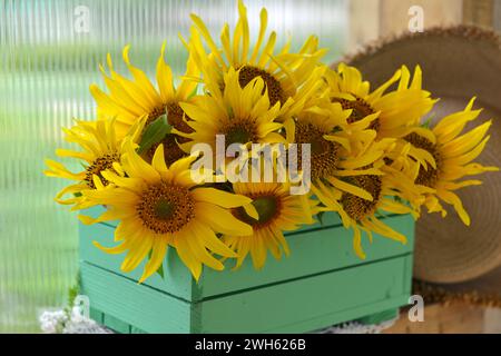 Beautiful still life with sunflowers in the garden. Romantic greeting card for birthday, Valentines, Mothers Day concept. Summer countryside backgroun Stock Photo