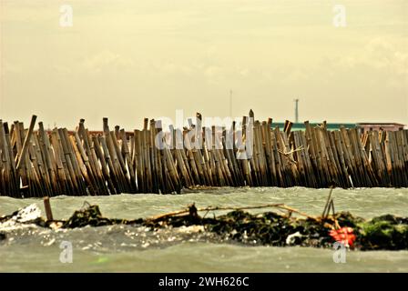 A line of bamboo poles in the coastal area of Bekasi, West Java, Indonesia. Functioned as a fence and border for land reclamation activity, which utilize the materials from Jakarta floods canal project, the structure is placed close to the provincial border between Jakarta and West Java. Stock Photo
