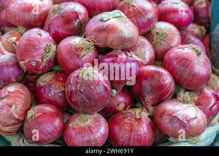 Red Onions (Allium cepa) on local vegetable market, Cusco, Peru. Stock Photo