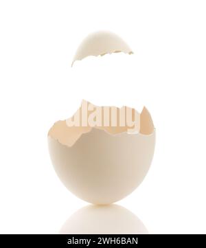 White chicken egg isolated on a white background.  Combined with the eggshell hat it can be used for composite images. Stock Photo
