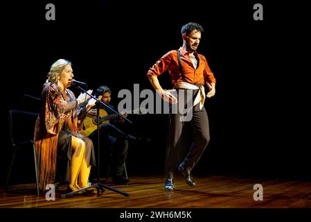 'A flamenco dancer in motion, with a singer and guitarist performing, captures the essence of Spanish flamenco.' Stock Photo